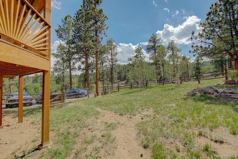 25 Buggy Whip Rd, Bailey, CO 80421 photo 37