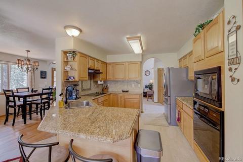 25 Buggy Whip Rd, Bailey, CO 80421 photo 16