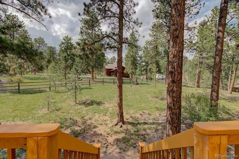 25 Buggy Whip Rd, Bailey, CO 80421 photo 36