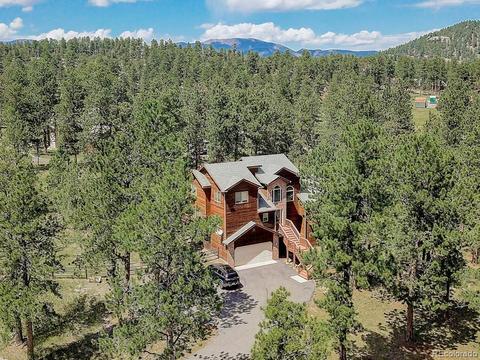25 Buggy Whip Rd, Bailey, CO 80421 photo 3
