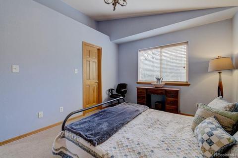 25 Buggy Whip Rd, Bailey, CO 80421 photo 29