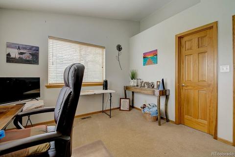 25 Buggy Whip Rd, Bailey, CO 80421 photo 21