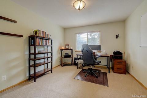 25 Buggy Whip Rd, Bailey, CO 80421 photo 19