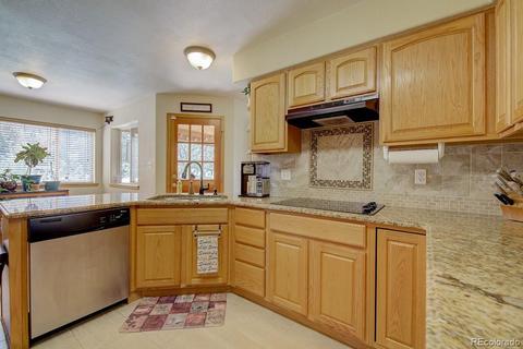 25 Buggy Whip Rd, Bailey, CO 80421 photo 17