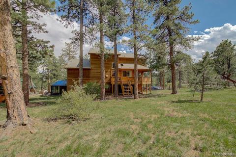 25 Buggy Whip Rd, Bailey, CO 80421 photo 39