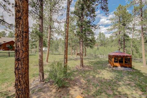 25 Buggy Whip Rd, Bailey, CO 80421 photo 34