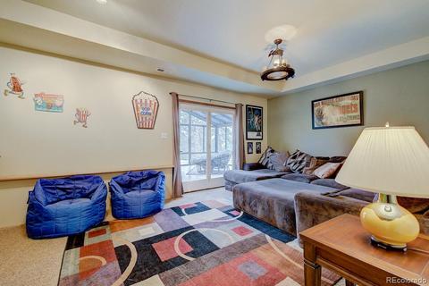 25 Buggy Whip Rd, Bailey, CO 80421 photo 10