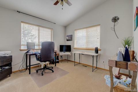 25 Buggy Whip Rd, Bailey, CO 80421 photo 20