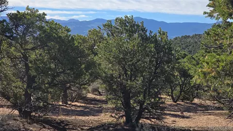 lot3873 Shinn Rd, Fort Garland, CO 81133