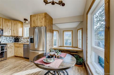 33165 Diana Rd, Pine, CO 80470 photo 17