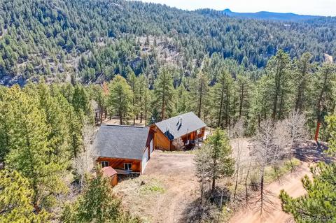 33165 Diana Rd, Pine, CO 80470 photo 5