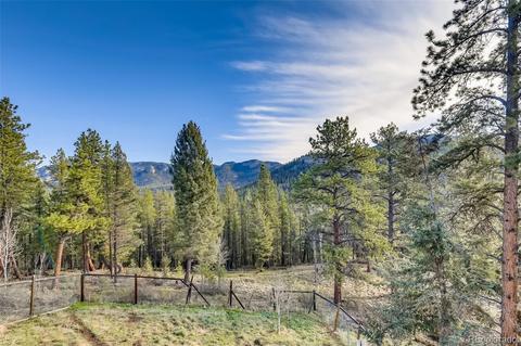 33165 Diana Rd, Pine, CO 80470 photo 37