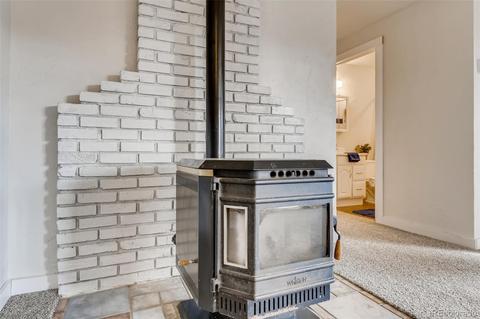 33165 Diana Rd, Pine, CO 80470 photo 32