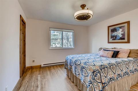 33165 Diana Rd, Pine, CO 80470 photo 18