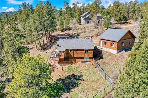 33165 Diana Rd, Pine, CO 80470 photo 7