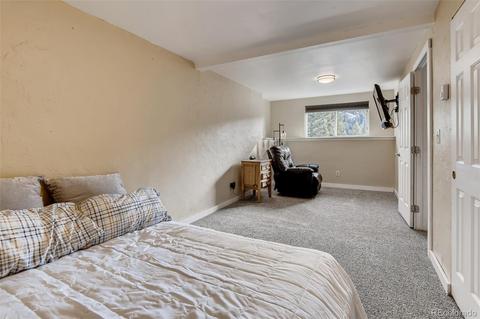 33165 Diana Rd, Pine, CO 80470 photo 28