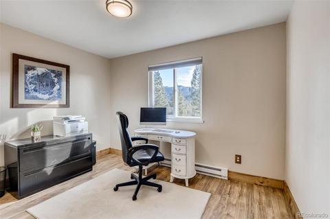 33165 Diana Rd, Pine, CO 80470 photo 20