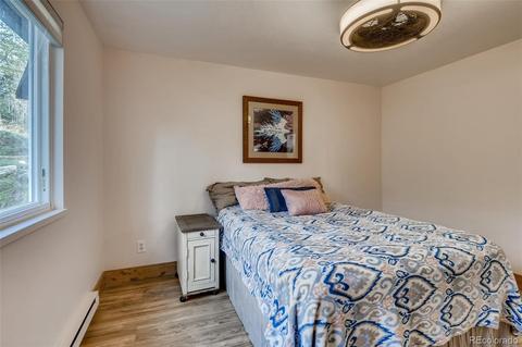 33165 Diana Rd, Pine, CO 80470 photo 19