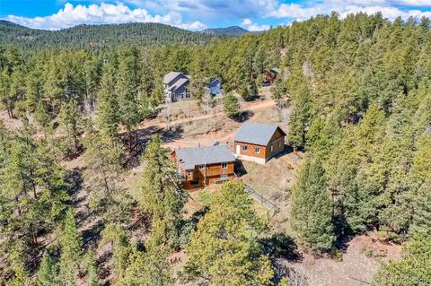 33165 Diana Rd, Pine, CO 80470 photo 6