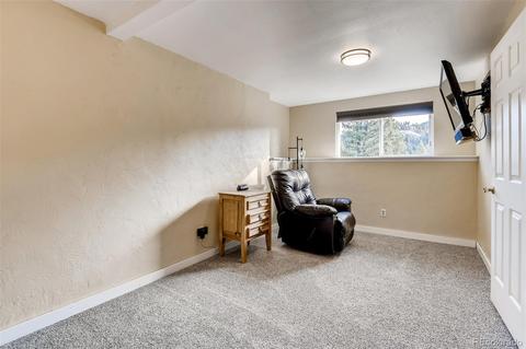 33165 Diana Rd, Pine, CO 80470 photo 30