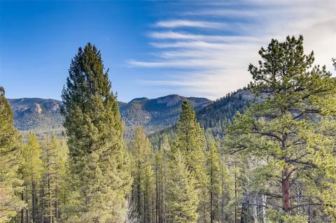 33165 Diana Rd, Pine, CO 80470 photo 38