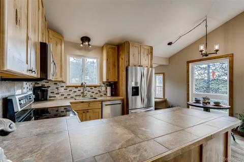 33165 Diana Rd, Pine, CO 80470 photo 16