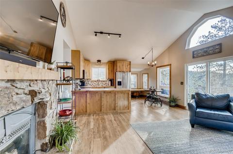 33165 Diana Rd, Pine, CO 80470 photo 11