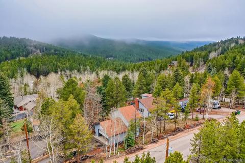 8960 Rex Ln, Conifer, CO 80433 photo 40