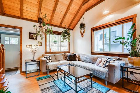 8960 Rex Ln, Conifer, CO 80433 photo 7