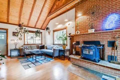 8960 Rex Ln, Conifer, CO 80433 photo 8