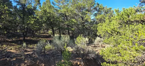 lot1362 Dunn Rd, Fort Garland, CO 81133
