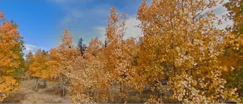 75 Antler Ridge Rd, Como, CO 80456 photo 2