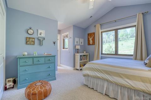 33821 Natural Spring Rd, Pine, CO 80470 photo 23