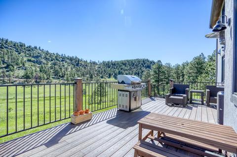33821 Natural Spring Rd, Pine, CO 80470 photo 37