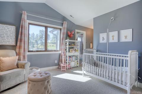 33821 Natural Spring Rd, Pine, CO 80470 photo 22