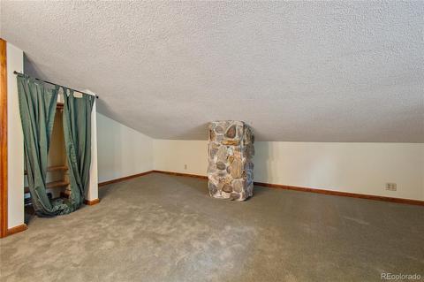 5518 County Road 72, Bailey, CO 80421 photo 20