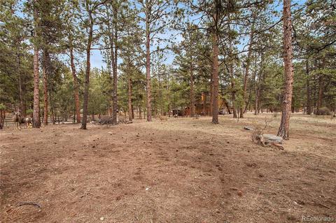 5518 County Road 72, Bailey, CO 80421 photo 26