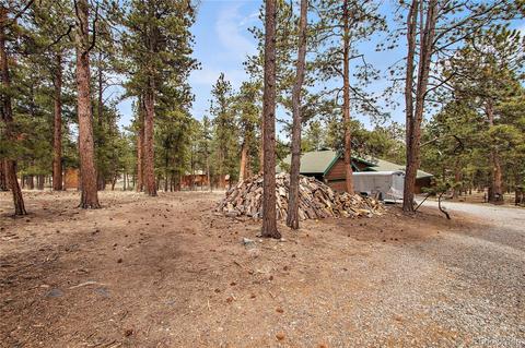 5518 County Road 72, Bailey, CO 80421 photo 2