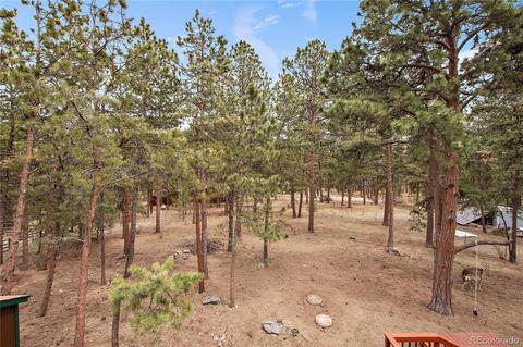 5518 County Road 72, Bailey, CO 80421 photo 19