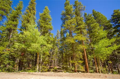 154 Georges Way, Alma, CO 80420