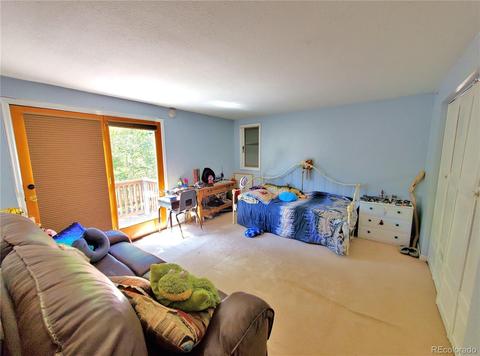 1551 Main St, Georgetown, CO 80444 photo 31
