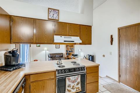 3525 E 96th Cir, Thornton, CO 80229 photo 10