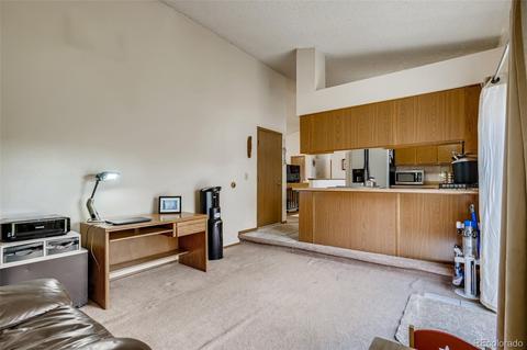 3525 E 96th Cir, Thornton, CO 80229 photo 13
