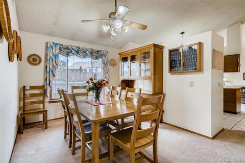 3525 E 96th Cir, Thornton, CO 80229 photo 8