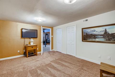 3525 E 96th Cir, Thornton, CO 80229 photo 20
