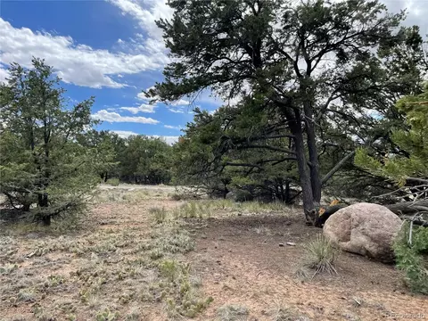 4303 Fallen Tree, Crestone, CO 81131 photo 11