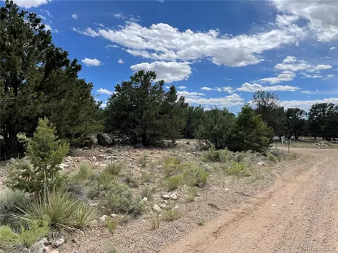 4303 Fallen Tree, Crestone, CO 81131 photo 8