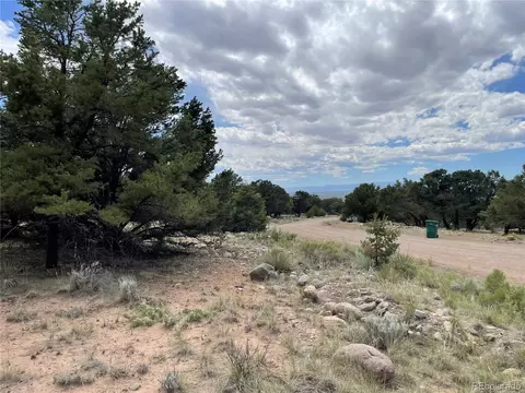 4303 Fallen Tree, Crestone, CO 81131 photo 10