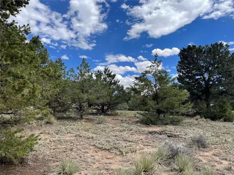 4303 Fallen Tree, Crestone, CO 81131 photo 15