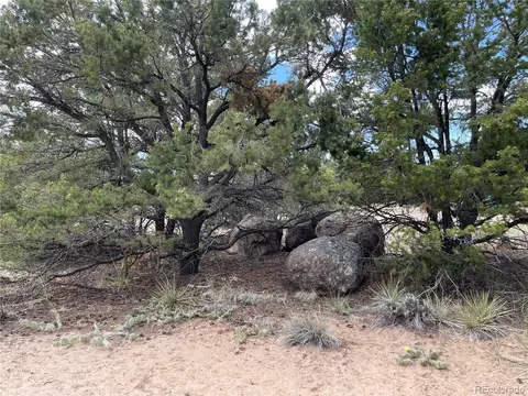 4303 Fallen Tree, Crestone, CO 81131 photo 17